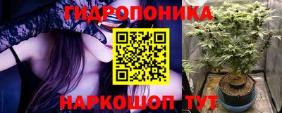 бошки Дубна