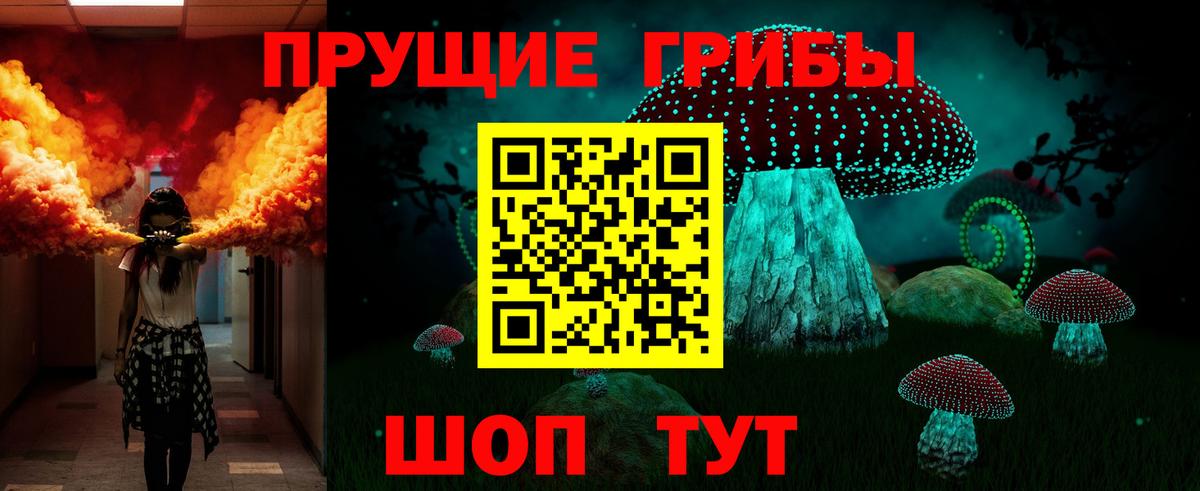 Галлюциногенные грибы Cubensis Минусинск